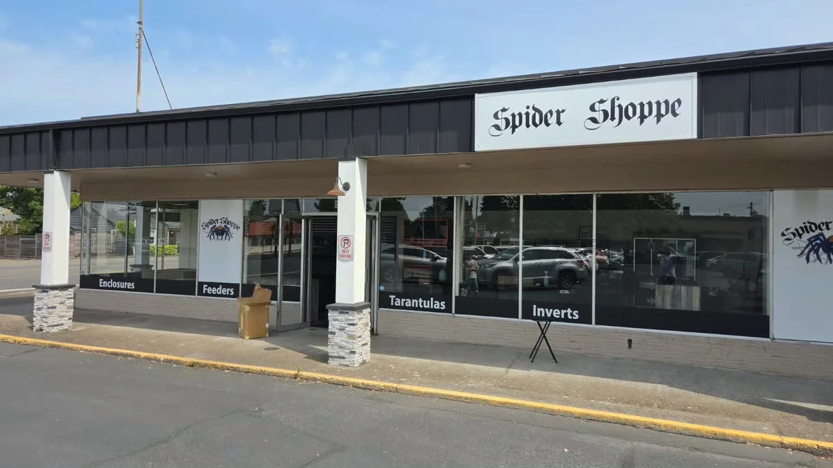 Welcome to the Spider Shoppe